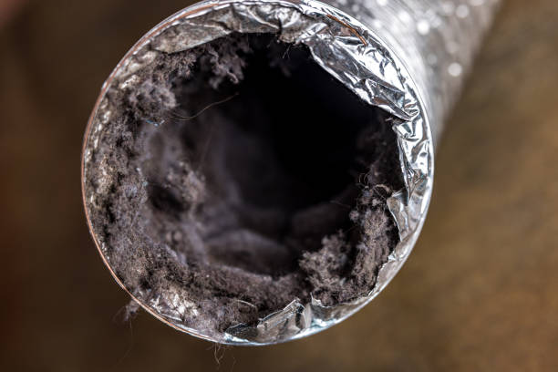 Best Commercial HVAC Duct Cleaning  in Vista, CA