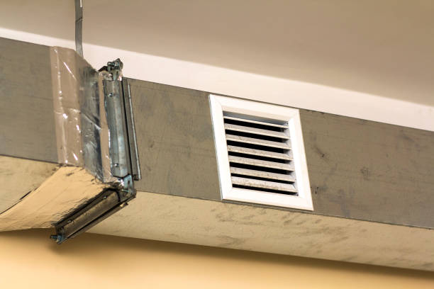 Best Affordable Duct Cleaning Services  in Vista, CA